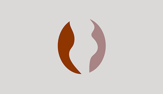 spot_img