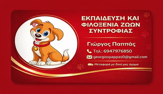 spot_img